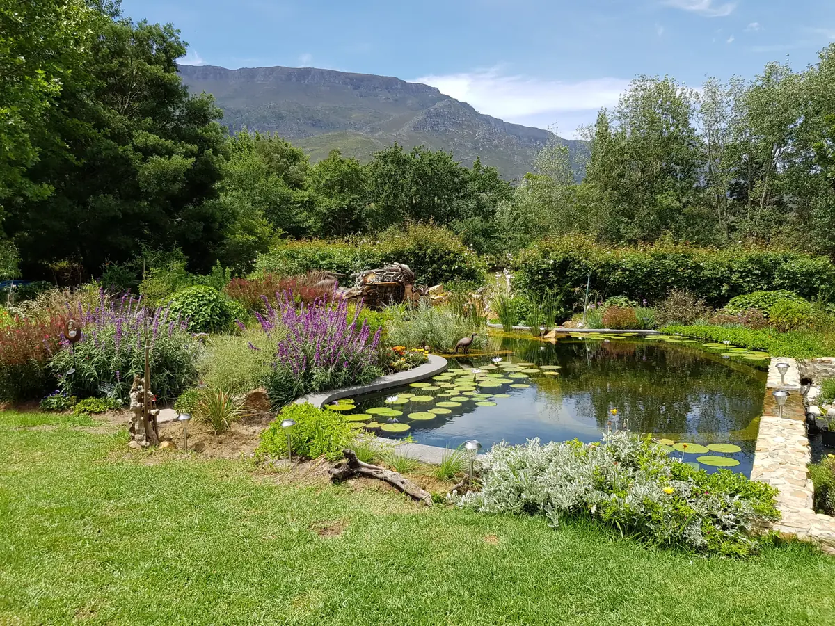 Farm Valley natural EcoPool